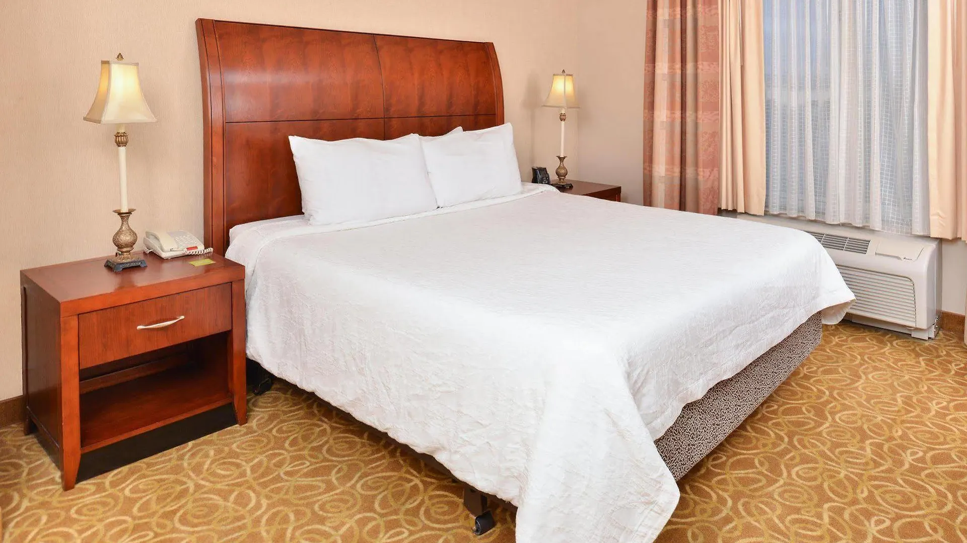 Hotel Hilton Garden Inn Reno